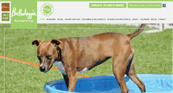 Desktop Screenshot of belladoggie.com