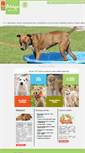 Mobile Screenshot of belladoggie.com