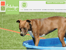 Tablet Screenshot of belladoggie.com